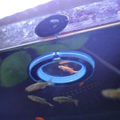 NGe 5Pcs Round Square Cone Fish Feeder Set, Floating Food Feeding Ring, Live Red Worm Feeder Funnel Plate, With Suction Cups (Black) -Zoo Shop 51UzLyy1cuL