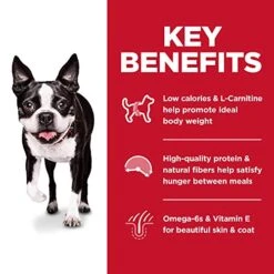 Hill's Science Diet Dry Dog Food, Adult, Light For Healthy Weight & Weight Management, Small Bites, Chicken Meal & Barley Recipe, 5 Lb. Bag -Zoo Shop 51V5E9kINaL