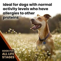 Victor Super Premium Dog Food – Chicken Meal & Brown Rice Formula - Dry Dog Food For All Normally Active Dogs Of All Life Stages – Ideal For Dogs With Meat Protein Allergies, 15 Lb -Zoo Shop 51VFPxvdNIL