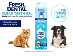 Naturel Promise Fresh Dental Clean Teeth Gel, 4 Fl Oz - Easy To Use Pet Dental Gel That Helps Remove Plaque, Tartar, And Freshen Breath-No Brushing Pet Oral Care For Dog Dental Care, Cat Dental Care 11 Naturel Promise Fresh Dental Clean Teeth Gel, 4 Fl Oz - Easy To Use Pet Dental Gel That Helps Remove Plaque, Tartar, And Freshen Breath-No Brushing Pet Oral Care For Dog Dental Care, Cat Dental Care -Zoo Shop 51VMRQZuPzL