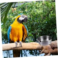 POPETPOP 3pcs Pet Hanging Food Bowl Stainless Steel Coop Cups Parrot Dish Dispenser Bowl For Parrot Bird Feeding Bowl Silver Food Box Feed Water Dog Water Bowls Bowl For Birds Bird Dish Cup