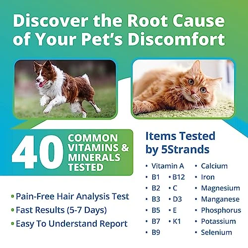 5Strands Pet Nutrition Deficiency Test, 40 Vitamins And Minerals Tested, At Home Dog Or Cat Hair Sample Collection Kit, Results In 7 Days, Works For All Ages And Breeds - Supplements, Diet 4 5Strands Pet Nutrition Deficiency Test, 40 Vitamins And Minerals Tested, At Home Dog Or Cat Hair Sample Collection Kit, Results In 7 Days, Works For All Ages And Breeds - Supplements, Diet - Image 2