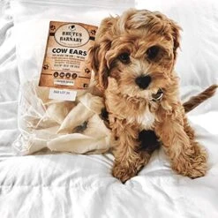 Premium Cow Ears For Dogs, Thick Cut & All-Natural Whole Ears, 100% Grass Fed Beef, No Additives Or Hormones, Safe Rawhide Alternative, Great Dog Treat Alternative To Pig Ears, Bully Sticks, Dog Bones -Zoo Shop 51VUI0dc30L