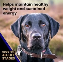 Victor Super Premium Dog Food – Select - Beef Meal & Brown Rice Formula – Gluten Free Beef Meal Dry Dog Food For All Normally Active Dogs Of All Life Stages, 5 Lbs -Zoo Shop 51VUagafmLL