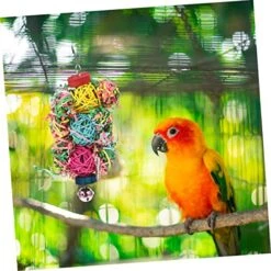 POPETPOP 3pcs Parrot Chew Toy Bird Toys For Parakeets Chewing Toys Bird Toys For Conures Chew Toys Indoor Playset Birds Toys Chewing Toys For Parrots Parakeet Swing Bird Foraging Toys Large -Zoo Shop 51Vbi0xfLsL