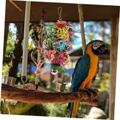Iplusmile 6 Pcs Parrot Chew Toy Parakeet Chew Toys For Puppies Small Bird Toys Cockatiel Toys Parrot Toys For Large Birds Chewing Toys Bird Chewing Toys Bird Cage Pendant Parakeet Swing Food 8 Iplusmile 6 Pcs Parrot Chew Toy Parakeet Chew Toys For Puppies Small Bird Toys Cockatiel Toys Parrot Toys For Large Birds Chewing Toys Bird Chewing Toys Bird Cage Pendant Parakeet Swing Food -Zoo Shop 51VfjjqTYsL