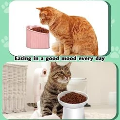 Lallisa 4 Pcs Ceramic Elevated Cat Bowls Tilted Elevated Raised Cat Bowls And Heart Cat Food Bowl Anti Vomit Cat Bowls Elevated Shallow Pet Water Dish For Cats Dogs Pet, Dishwasher And Microwave Safe -Zoo Shop 51VlQFYUOCL