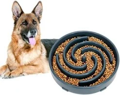 Large Slow Feeder Dog Bowl,Maze Interactive Dog Food Bowl,Anti Gulping Healthy Eating,Stop Bloat Pet Slow Down Feeding Dishes For Medium/Big Dogs(A-Blue) 21 Large Slow Feeder Dog Bowl,Maze Interactive Dog Food Bowl,Anti Gulping Healthy Eating,Stop Bloat Pet Slow Down Feeding Dishes For Medium/Big Dogs(A-Blue) -Zoo Shop 51W4sBn7CL. AC