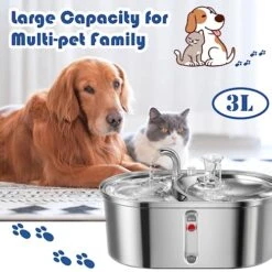 MewDgland Cat Water Fountain 3L/101oz Stainless Steel, 2 In 1 Cat Food Bowl And Pet Water Fountain For Cats Inside, Quiet Automatic Water Dispenser For Dogs And Cats 8 MewDgland Cat Water Fountain 3L/101oz Stainless Steel, 2 In 1 Cat Food Bowl And Pet Water Fountain For Cats Inside, Quiet Automatic Water Dispenser For Dogs And Cats -Zoo Shop 51WLpiDIHXL