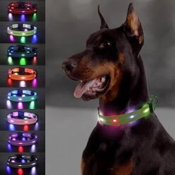 Joytale Light Up Dog Collars Rechargeable, High Visibility LED Dog Collar for Pet Night Walking, 3 Flash Modes, Rainproof PVC Glow Collar Adjustable for Small Medium Large Dogs, Teal, L -Zoo Shop 51WNCcJdZEL. AC