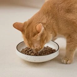 MIKIGEY Ceramic Cat Food Water Bowl Set, 6.3 Inches Wide Shallow Cat Dish, Whisker-Friendly Pet Cat Bowl, Basic Cat Bowl, Black And White Pet Bowl, Pack Of 2