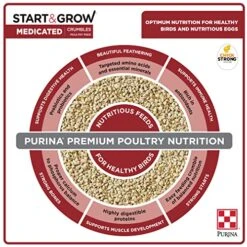 Purina Start & Grow Starter/Grower Medicated Feed Crumbles, 5 Lb Bag -Zoo Shop 51X3jIRfC8L