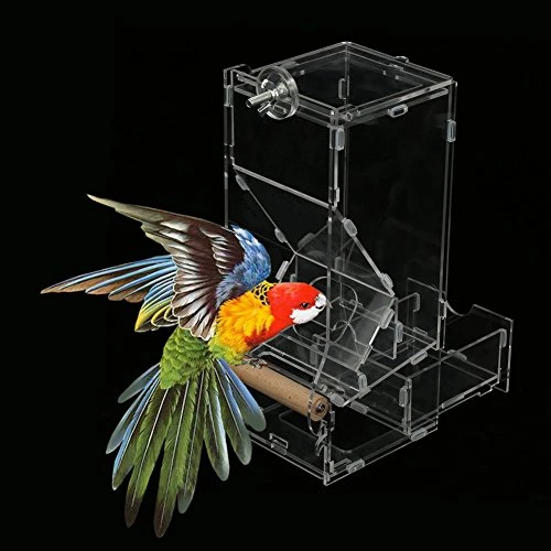 Bird Food Feeder Acrylic Transparent Pet Seeds Automatic Food Feeder Cage Toy (Size : L Single) 5 Bird Food Feeder Acrylic Transparent Pet Seeds Automatic Food Feeder Cage Toy (Size : L Single) - Image 3