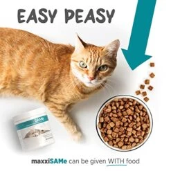 Maxxipaws MaxxiSAMe Advanced SAM-e Liver And Cognitive Supplement For Cats Given With Food, Powder 3.2 Oz 8 Maxxipaws MaxxiSAMe Advanced SAM-e Liver And Cognitive Supplement For Cats Given With Food, Powder 3.2 Oz -Zoo Shop 51XANQ0qWAL