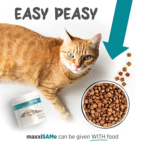 Maxxipaws MaxxiSAMe Advanced SAM-e Liver And Cognitive Supplement For Cats Given With Food, Powder 3.2 Oz 5 Maxxipaws MaxxiSAMe Advanced SAM-e Liver And Cognitive Supplement For Cats Given With Food, Powder 3.2 Oz - Image 3