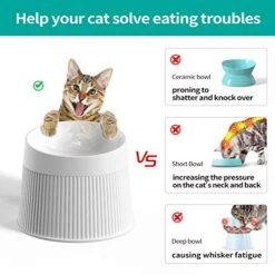 Uahpet Elevated Cat Food Bowl Super Widen Raised Cat Food Dishes For Protecting Spine, Reliefing Whisker Fatigue, Anti-Vomiting 17° Tilted Pet Feeding Bowls With Silicone Mat For Indoor Cats -Zoo Shop 51XCKJEQjRL