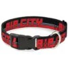 Buckle-Down 15-26" Rip City/Stripe/Mesh Black/Gray/Red Plastic Clip Collar, Large