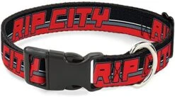 Buckle-Down 15-26" Rip City/Stripe/Mesh Black/Gray/Red Plastic Clip Collar, Large -Zoo Shop 51XeAXfthvL. AC 6
