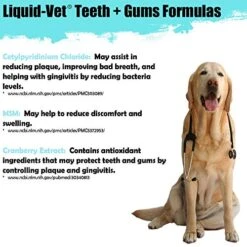 Liquid-Vet Advanced Teeth & Gums Supplements For Dogs | Dental Care For Dogs | Oral Mouth Care | Tartar + Plaque + Gingivitis -Zoo Shop 51Xef4pcUML