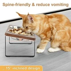 Raised Cat Food Bowls Elevated Tilted Puppy Dish Orthopedic Pet Bowl Stand Lifted 15°Angled With Double Stainless Steel Dishes 5.7 Inch Kitty Feeder Whisker Relief Anti-Vomiting(Brown) 8 Raised Cat Food Bowls Elevated Tilted Puppy Dish Orthopedic Pet Bowl Stand Lifted 15°Angled With Double Stainless Steel Dishes 5.7 Inch Kitty Feeder Whisker Relief Anti-Vomiting(Brown) -Zoo Shop 51XrHZIw1VL