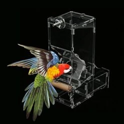 1Pcs Acrylic Bird Seed Feeder Pet Parrots Birds Seeds Automatic Foraging Systems Food Feeding Station Food Feeder For Cage Accessories (M Single) (Color : Clear, Size : M Single) -Zoo Shop 51XtvXn5 8L. AC