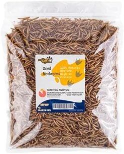 RANZ 5LBS Bulk Non-GMO Dried Mealworms For Chickens, High In Protein Mealworm Treats, Best For Wild Birds, Ducks, Hens, Fish, Turtle, Hedgehog, Hamster, Reptiles & Amphibian. -Zoo Shop 51Y6tjpMfyL. AC