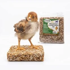 Exotic Nutrition Mealworm & Sunflower Pie - Healthy Natural Suet Basket Feeder Treat - For Backyard Chickens And Wild Birds -Zoo Shop 51YAfxxgnSL