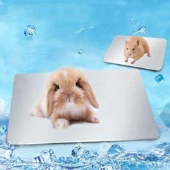 SONGBIRDTH Summer Small Pet Hamster Rabbit Aluminum Alloy Cooling Mat Non-Slip Cage Bed Pad,Breathable Cotton Blend,Removable Easy To Clean Silver L -Zoo Shop 51YFL3JsDUL