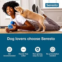 Seresto Small Dog Vet-Recommended Flea & Tick Treatment & Prevention Collar For Dogs Under 18 Lbs. | 8 Months Protection -Zoo Shop 51YSQ62xgAL