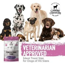 Canine Cravers Single Ingredient Dog Treats – Tender Pork Thins - Human Grade Air Dried Hypoallergenic Pet Food – Grain, Gluten, And Soy Free – 100% All Natural – 5.3 Oz -Zoo Shop 51YSQRuuMtL