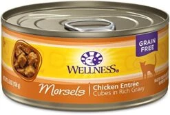 Wellness Complete Health Natural Grain Free Wet Canned Cat Food, Sliced Salmon Entree, 3-Ounce Can (Pack Of 24) -Zoo Shop 51Ybo0hxyL. AC