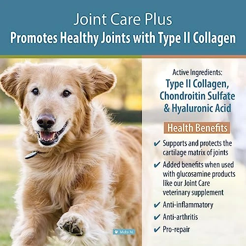 JustFoodForDogs Joint Care Plus Supplements - Protects From Joint Pain, Arthritis, Hip Dysplasia - Supports Joint Health For Dogs, Type II Collagen And Chondroitin Sulfate (60 Ct) 4 JustFoodForDogs Joint Care Plus Supplements - Protects From Joint Pain, Arthritis, Hip Dysplasia - Supports Joint Health For Dogs, Type II Collagen And Chondroitin Sulfate (60 Ct) - Image 2