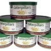 Canned Caterpillars (1.2 Oz. 6 Pack) - Healthy High Protein Insect Treat - Hedgehogs, Sugar Gliders, Reptiles, Wild Birds, Chickens, Lizards, Bearded Dragons, Skunks, Opossums, Fish, Amphibians -Zoo Shop 51Z75aWNSoL