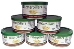 Canned Caterpillars (1.2 Oz. 6 Pack) - Healthy High Protein Insect Treat - Hedgehogs, Sugar Gliders, Reptiles, Wild Birds, Chickens, Lizards, Bearded Dragons, Skunks, Opossums, Fish, Amphibians