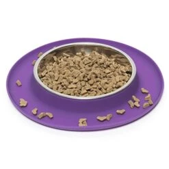 Messy Cats Single Silicone Feeder With Stainless Saucer Shaped Bowl | Anti-Slip Non-Skid Cat Food Bowl | One Cat Bowl In Feeding/Water Station | 1.75 Cups (Purple) -Zoo Shop 51Z9OskB3AL