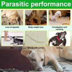 Flea And Tick Prevention For Dogs Chewable, 150 Chews Dog Natural Flea & Tick Control Supplement, Dog Flea And Tick Treatment, Oral Flea Pills For All Breeds And Ages Dogs -Zoo Shop 51ZFIW9v7zL