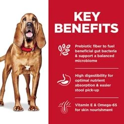 Hill's Science Diet Adult Sensitive Stomach And Skin Large Breed Dry Dog Food, Chicken Recipe, 30 Lb. Bag -Zoo Shop 51ZGFsWHGML