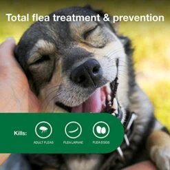 Advantage II Medium Dog Vet-Recommended Flea Treatment & Prevention | Dogs 11-20 Lbs. | 4-Month Supply -Zoo Shop 51ZROsvkOML