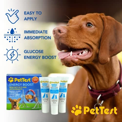 PetTest New Energy Boost Glucose SOS For Pets Instantly Increases Low Blood Sugar. B12 And Antioxidants 3x10ml Tubes. Fast Acting, Meat Flavoured, Rapid Recovery For Active Or Diabetic Dogs & Cats. 4 PetTest New Energy Boost Glucose SOS For Pets Instantly Increases Low Blood Sugar. B12 And Antioxidants 3x10ml Tubes. Fast Acting, Meat Flavoured, Rapid Recovery For Active Or Diabetic Dogs & Cats. - Image 2