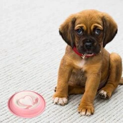 POPETPOP Slow Feeder Bowl Portable Heart Style Drinking Bowl Food Feeder Bowl Pet Supplies For Kitten Puppy Dog (Pink) -Zoo Shop 51ZgdFQZwJL