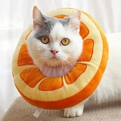 GONEBIN Adjustable Cat Cone Collar Soft, Cat Recovery Collar,Cute Cat Recovery Collar, Cat Cones After Surgery For Kittens,Cat Neck Cones To Stop Licking For Cat/Kitten/Small Dog 13 GONEBIN Adjustable Cat Cone Collar Soft, Cat Recovery Collar,Cute Cat Recovery Collar, Cat Cones After Surgery For Kittens,Cat Neck Cones To Stop Licking For Cat/Kitten/Small Dog -Zoo Shop 51ZheXs1AgL. AC 1