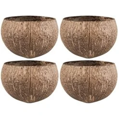 NOGRAX Rabbit Toy 6 Pcs Small Animals Small Animals Feeding Bowls Hamster Feeder Hamster Cage Bowls Feeder Shell Rabbit Toys Feeder (Color : As Shownx2pcs, Size : 11.5X11.5X8CMx2pcs)