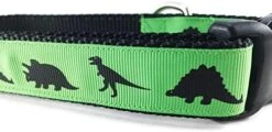 Dinosaur Dog Collar, Caninedesign, Green, T-Rex, Stegosaurus, Triceratops, 1 Inch Wide, Adjustable, Nylon, Medium And Large (Medium 13-19") -Zoo Shop 51a zc8FOWL. AC