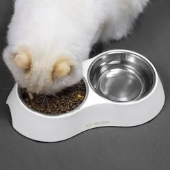 Joy Melody Cat Food And Water Bowl Set With Stand, Anti Vomiting Non Slip Dish For Small Dog, Stainless Steel Elevated Rabbit Feeder, Dishwasher Safe, Whisker Fatigue -Zoo Shop 51a1Vpt4nbL