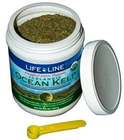 Life Line Pet Nutrition Organic Ocean Kelp Supplement For Skin & Coat, Digestion In Dogs & Cats,16oz, 20101 -Zoo Shop 51a1xeFtu2L