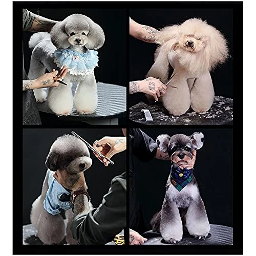 BITWIT Kitchen Baking, High-end Pet Grooming Scissors Color Grooming Scissors Small Mouth Finishing Scissors Up And Down Double Use (Color : Black Curved) 6 BITWIT Kitchen Baking, High-end Pet Grooming Scissors Color Grooming Scissors Small Mouth Finishing Scissors Up And Down Double Use (Color : Black Curved) - Image 4