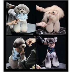 BITWIT Kitchen Baking, High-end Pet Grooming Scissors Color Grooming Scissors Small Mouth Finishing Scissors Up And Down Double Use (Color : Red Curved) -Zoo Shop 51a3I0RRwxS 4