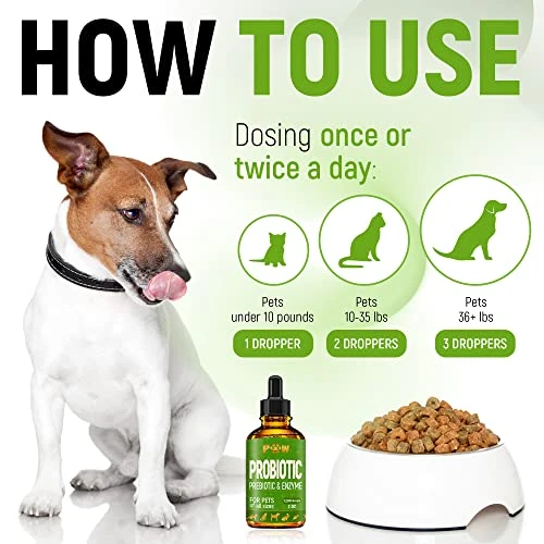 Probiotic For Dogs With Natural Digestive Enzymes. A Prebiotics + Digestive Enzyme Product For Dogs + Pumpkin. 120 Servings. Diarrhea & Upset Stomach Relief + Gas, Constipation, And Allergy Relief. 5 Probiotic For Dogs With Natural Digestive Enzymes. A Prebiotics + Digestive Enzyme Product For Dogs + Pumpkin. 120 Servings. Diarrhea & Upset Stomach Relief + Gas, Constipation, And Allergy Relief. - Image 3