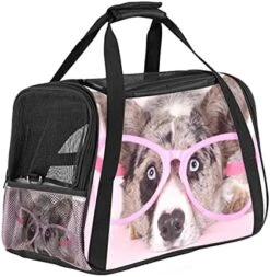 Pet Carrier Tasty Food Soft-Sided Pet Travel Carriers For Cats,Dogs Puppy Comfort Portable Foldable Pet Bag Airline Approved -Zoo Shop 51axqE5eNS. AC