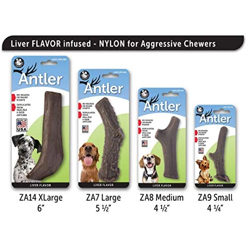 Pet Qwerks Nylon Antler Liver Flavor - Durable Dog Bones For Aggressive Chewers, Tough Nearly Indestructible Chew Proof Toys | Made In USA - For Large Breed Dogs, XL (ZA14) 4 Pet Qwerks Nylon Antler Liver Flavor - Durable Dog Bones For Aggressive Chewers, Tough Nearly Indestructible Chew Proof Toys | Made In USA - For Large Breed Dogs, XL (ZA14) - Image 2